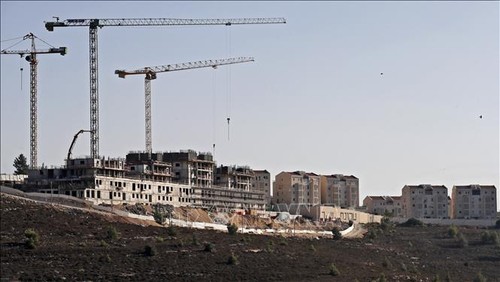 Palästina ist besorgt über die Entwicklung von Siedlungen im Westjordanland durch Israel - ảnh 1