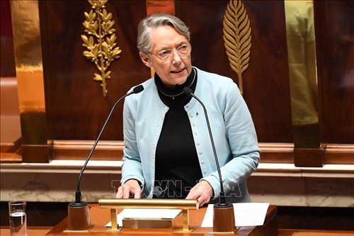 Frankreichs Premierministerin Elisabeth Borne übersteht zwei Misstrauensvoten im Parlament - ảnh 1