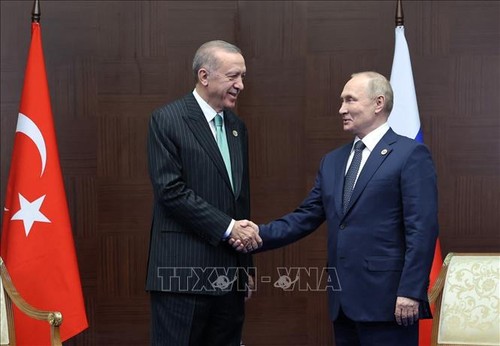 Russlands Präsident Putin kann die Türkei besuchen - ảnh 1