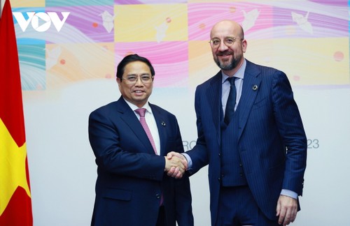 Die Zusammenarbeit zwischen Vietnam und der EU fördern - ảnh 1
