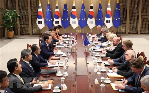 Südkorea und die EU wollen die Partnerschaft in vielen Bereichen fördern - ảnh 1