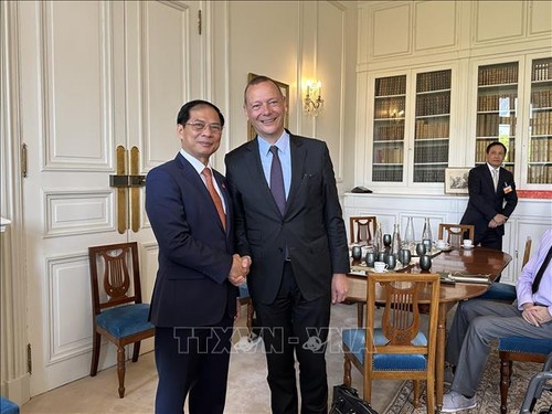 Außenminister Bui Thanh Son beendet seinen Besuch in Frankreich - ảnh 1