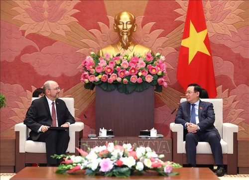 Parlamentspräsident Vuong Dinh Hue empfängt Botschafter - ảnh 1
