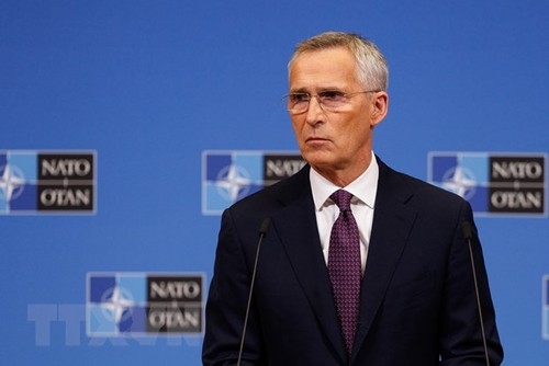 NATO wird vor dem Gipfel im Juli über die Aufnahme Schwedens diskutieren - ảnh 1