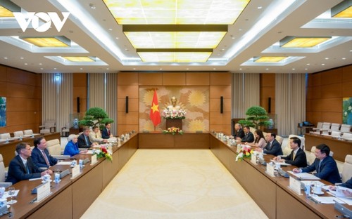 Die USA wollen die umfassende Partnerschaft mit Vietnam vertiefen - ảnh 1