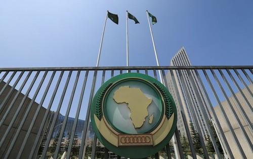 Die Afrikanische Union setzt Nigers Mitgliedschaft aus - ảnh 1