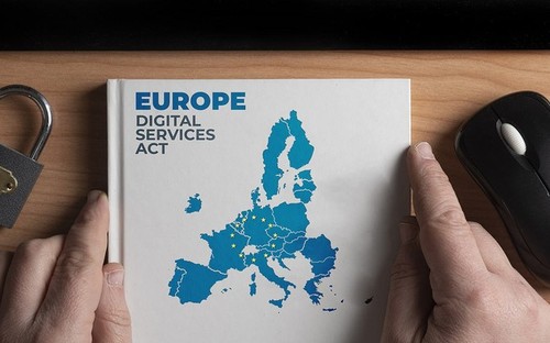 Das neue EU-Gesetz über digitale Dienste tritt in Kraft - ảnh 1