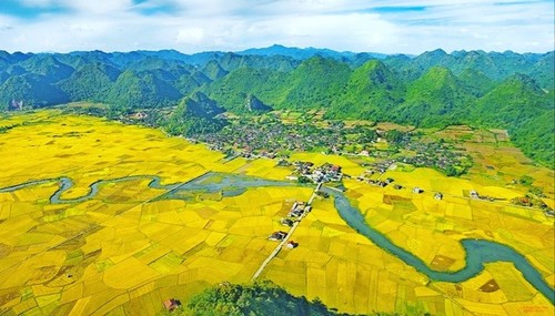 Wunderschöne Orte zur Bewunderung der goldenen Reisfelder im Herbst - ảnh 10