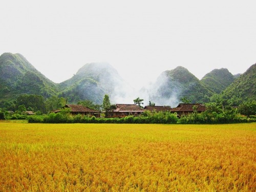 Wunderschöne Orte zur Bewunderung der goldenen Reisfelder im Herbst - ảnh 11