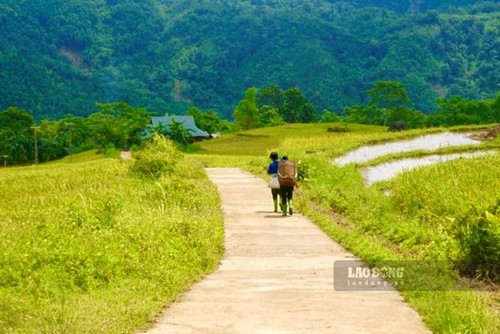 Wunderschöne Orte zur Bewunderung der goldenen Reisfelder im Herbst - ảnh 13