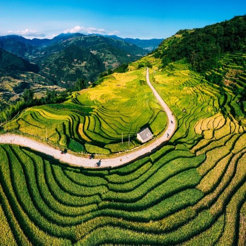 Wunderschöne Orte zur Bewunderung der goldenen Reisfelder im Herbst - ảnh 16