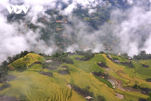 Wunderschöne Orte zur Bewunderung der goldenen Reisfelder im Herbst - ảnh 2