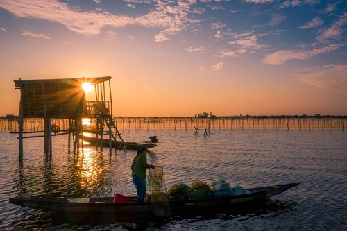 Die Schönheit der Chuon-Lagune in Hue - ảnh 4