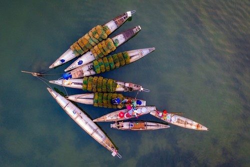 Die Schönheit der Chuon-Lagune in Hue - ảnh 9