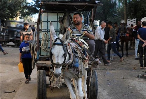 Hamas-Israel-Konflikt: Israel gibt neue Evakuierungswarnung im südlichen Gazastreifen ab - ảnh 1