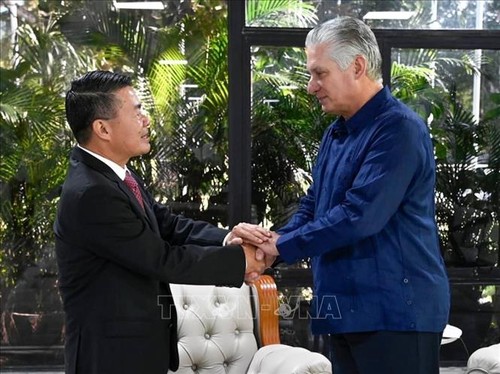 Die Beziehungen und Freundschaft zwischen Vietnam und Kuba festigen - ảnh 1