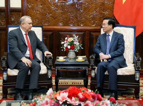 Staatspräsident Vo Van Thuong empfängt Botschafter Neuseelands und Perus - ảnh 1