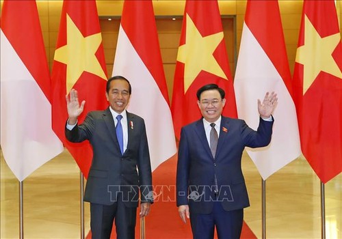 Verstärkung der vielseitigen Zusammenarbeit zwischen Vietnam und Indonesien - ảnh 1