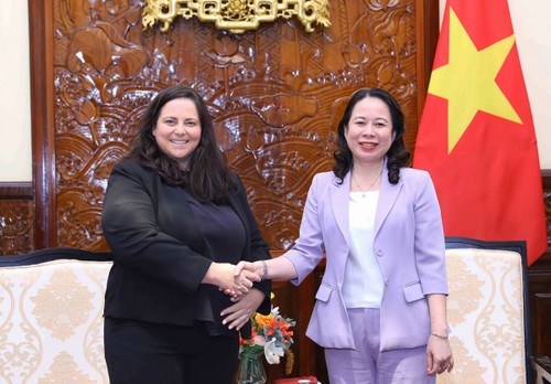 Vize-Staatspräsidentin Vo Thi Anh Xuan trifft hochrangige Leiterin von Ford Motor Company - ảnh 1