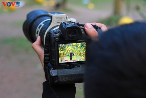 Der Pampelmuse-Garten Phuc Dien – beliebter Ort zum Fotografieren am traditionellen Neujahrsfest Tet - ảnh 6
