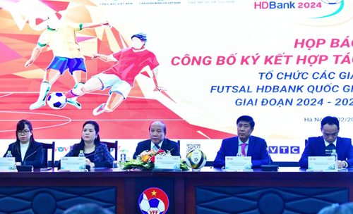 VOV und VFF organisieren nationale Futsal-Turniere im Zeitraum 2024-2028 - ảnh 1