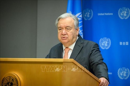 UNO gründet einen unabhängigen Ausschuss zur Überprüfung des Palästinenserhilfswerks - ảnh 1