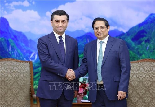 Förderung der Zusammenarbeit zwischen Vietnam und Usbekistan - ảnh 1