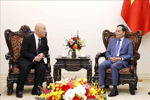 Vize-Premierminister Tran Luu Quang empfängt Leiter von KOICA und der japanischen Friedensstiftung - ảnh 1
