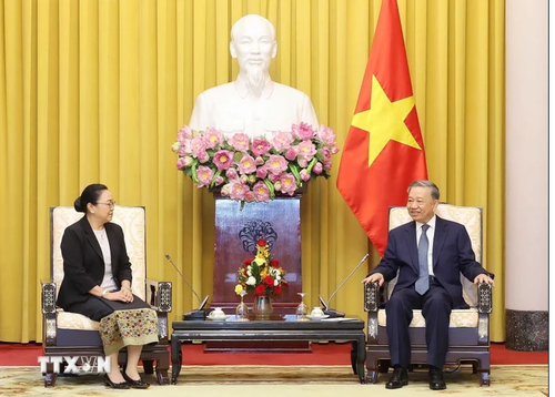 Staatspräsident To Lam empfängt Botschafter der ASEAN-Länder und von Timor-Leste - ảnh 1