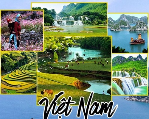 재가동 준비에 여념이 없는 베트남 관광 - ảnh 1