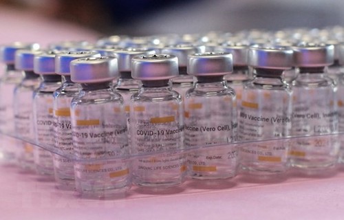 ВОЗ одобрила китайскую вакцину от коронавируса «Sinovac» для экстренного применения - ảnh 1