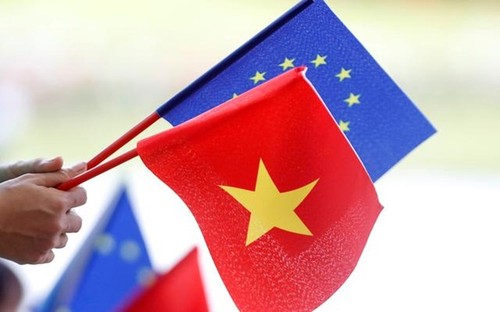 Hubungan Kemitraan dan Kerja Sama Komprehensif Vietnam - Uni Eropa Semakin Substantif dan Efektif - ảnh 1