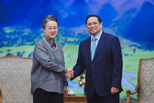 팜 민 찐 총리, “베트남은 세계 평화, 발전, 협력 중요시” - ảnh 1