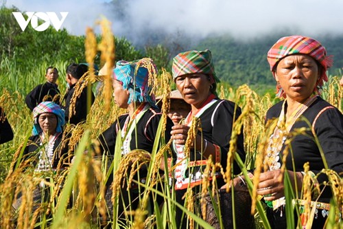 라이쩌우성 커무족의 독특한 마마메 축제 - ảnh 1