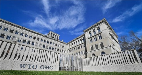 WTO កំណែទម្រង់ដើម្បីឆ្លើយតបនឹងស្ថានភាពថ្មី - ảnh 1