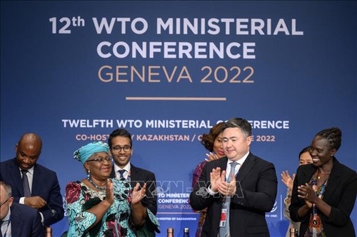 WTO សម្រេចបានជាឯកឆន្ទលើកញ្ចប់កិច្ចព្រមព្រៀងពាណិជ្ជកម្មជាប្រវត្តិសាស្ត្រ - ảnh 1