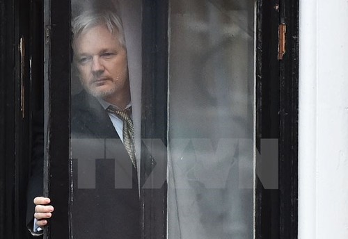 Wikileaks លុបចោលការប្រកាសព័ត៌មានដោយសារមូលហេតុសន្តិសុខ - ảnh 1