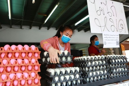 Komunitas badan usaha Thailand berseru supaya melonggarkan langkah-langkah blokade - ảnh 1