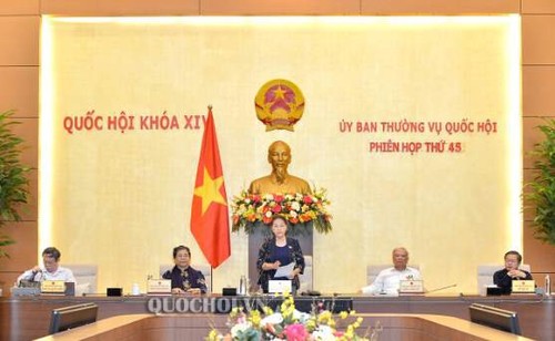 Persidangan ke-45 Komite Tetap MN Vietnam - ảnh 1