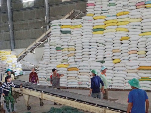 Tahun 2020, nilai ekspor beras mencapai 1,9 miliar USD setelah waktu 8 bulan  - ảnh 1