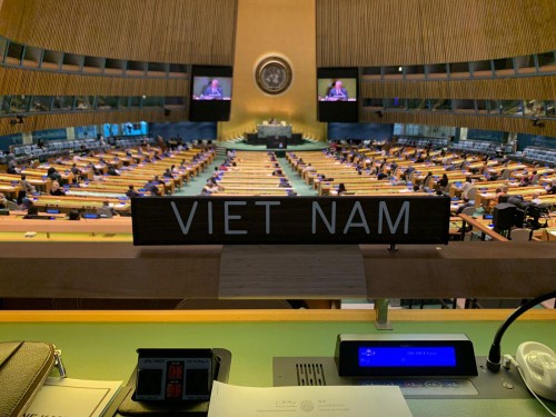PBB mengadakan sidang pleno yang pertama setelah 6 bulan - ảnh 1