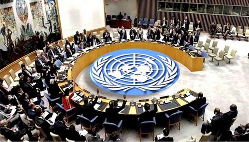DK PBB mengesahkan 3 resolusi tentang kawasan-kawasan konflik di Afrika  - ảnh 1