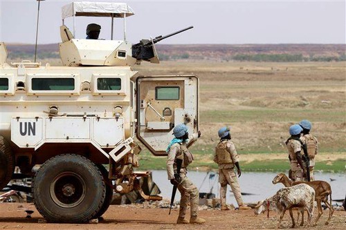 DK PBB Kutuk Serangan terhadap Pasukan Penjaga Perdamaian di Mali - ảnh 1