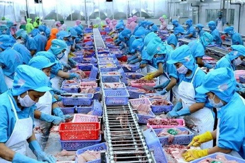 Dalam 4 Bulan Awal 2021, Ekspor Hasil Perikanan Vietnam Capai 2,39 Miliar USD - ảnh 1