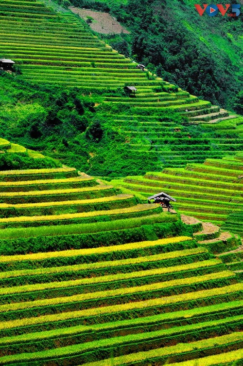 Keindahan Hoi An dan Sa Pa, Dua Destinasi yang Paling Fotogenik di Vietnam - ảnh 13