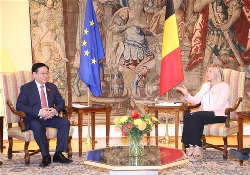 Berbagai Aktivitas Ketua MN Vuong Dinh Hue di Uni Eropa dan Belgia - ảnh 2