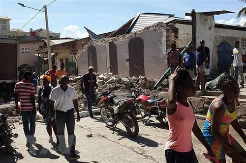 Vietnam Minta Penguatan Langkah-Langkah Pelaksanaan Hukum dan Perlindungan Warga Sipil di Haiti - ảnh 1