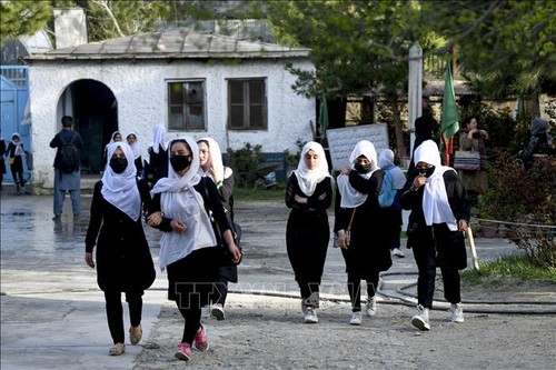 PBB Minta Taliban agar Buka Kembali Sekolah-Sekolah Menengah bagi Pelajar Perempuan - ảnh 1