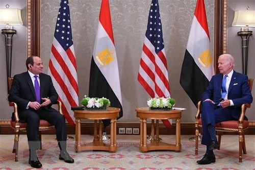 Mesir dan AS Berkomitmen Dorong Hubungan Kemitraan Strategis - ảnh 1