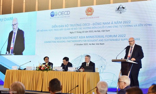 Kerja Sama yang Kian Erat antara OECD-Asia Tenggara dan Rekam Jejak Vietnam - ảnh 1